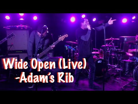 download lagu mp3 mp4 Adams Rib Band, download lagu Adams Rib Band gratis, unduh video klip Adams Rib Band