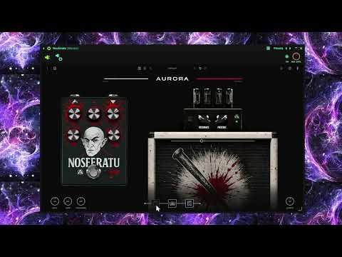 Vista previa del video en Youtube