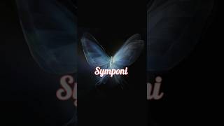 Download lagu symphoni yang indah _once #once #symphony #liriklagu #music #symphonyyangindah #laguaesthetic mp3