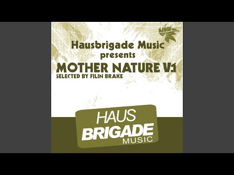 Missing Me (Filin Brake's 4am Remix)