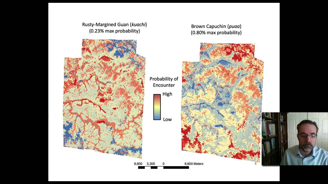 The agent-based model on the Ache