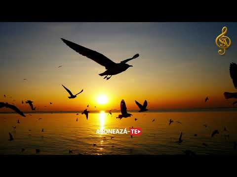 Doamne mare, fii slăvit! – Cântări din Harfă #002 | Muzică creștină de laudă