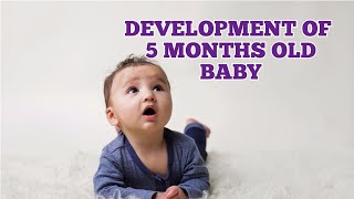 Development of 5 months old baby