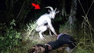 EVIDENCIAS OCULTAS | 10 Avistamientos Reales en el Bosque que Desafían la Ciencia
