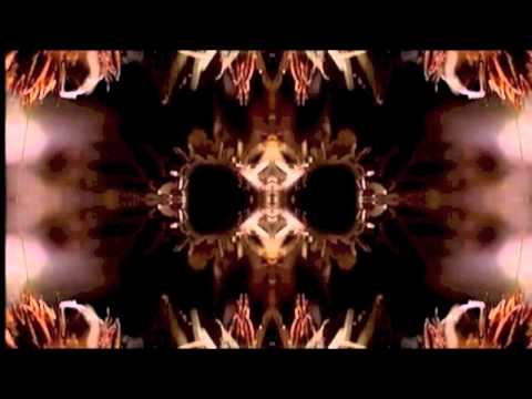 Mononoid - Orb weaver (Traum 165)