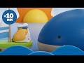 Science For Kids Animals Planets And Human Body 10 Min Pim Pam Pino