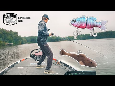 Fishing BIG Swimbaits ONLY For Lethargic Bass! ("Scaled Up" Ep. 6)