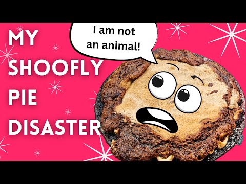 My Shoofly Pie Disaster | American Recipes Collab | #starspangleddishes