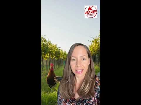Video of Sabine Bauer Wolf