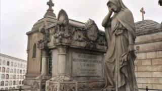 Danny Norbury - Aspen Trees