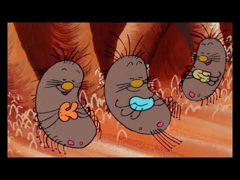 Once Upon a Time    Life S01E15 Digestion