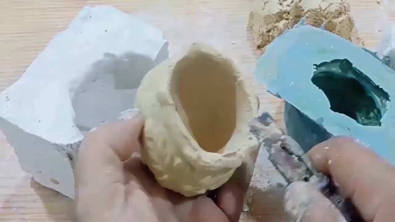 صورة الفيديو