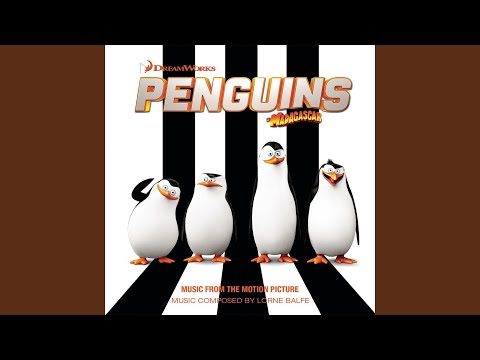 Video thumbnail for Chrysocome