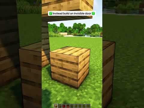 INVISIBLE Door Trick for Minecraft! #shorts #minecraft