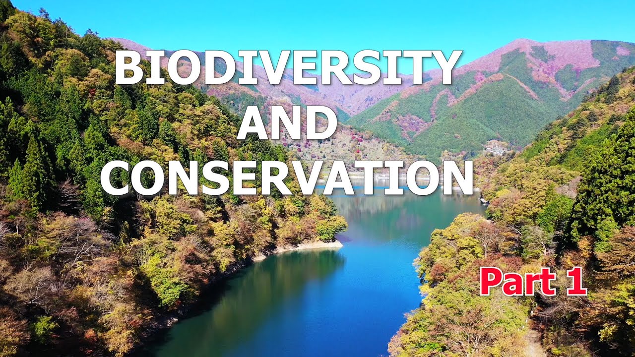 Biodiversity and Conservation Part 1 | Class 11 | Geography Chapter 16