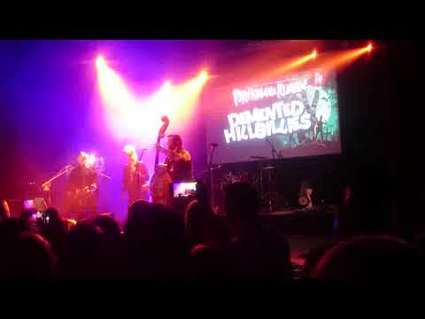 Demented Hillbillies   Now She's Dead