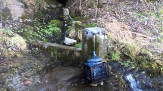 preview picture of video 'Gathering Spring Water for Homebrew Beer in Woodbury, TN'