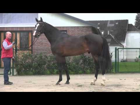 Quibery v. Quintero - Caretino