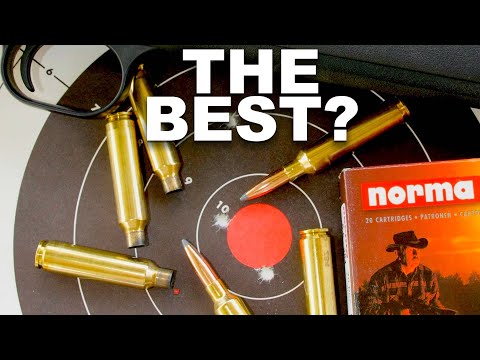 6.5-284 Norma Best All-Round Cartridge?