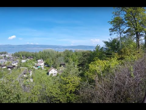 Durch die Grande Cariçaie am Neuenburgersee von Cudrefin nach Estavayer- le-Lac