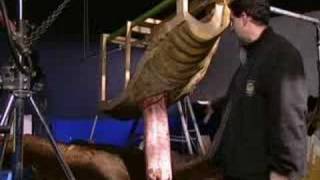 Mating and Birth - Walking with Dinosaurs: The Making Of - BBC