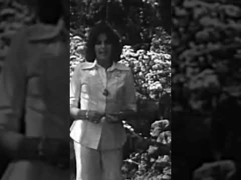 Marie Rottrová - Řeka lásky #supraphon #marierottrova #rekalasky