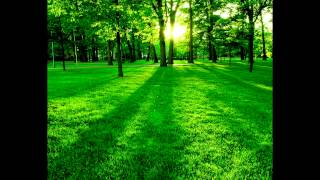 Sideways - Los Olivos