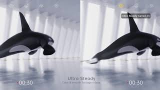 Download lagu 30 Januari 2021 mp3 Download lagu 30 Januari 2021 mp3