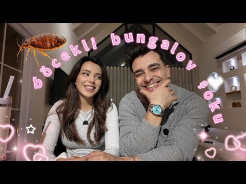 INSECTIC BUNGALLOW SHOCK! | Sapanca Vlog