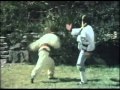 The Magnificent Wonderman 1979 Trailer