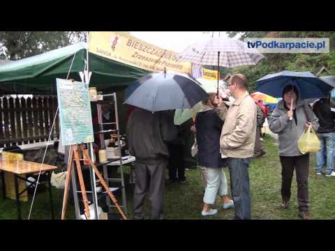 A rainy, but successful, beekeeper! - tvPodkarpacie.pl