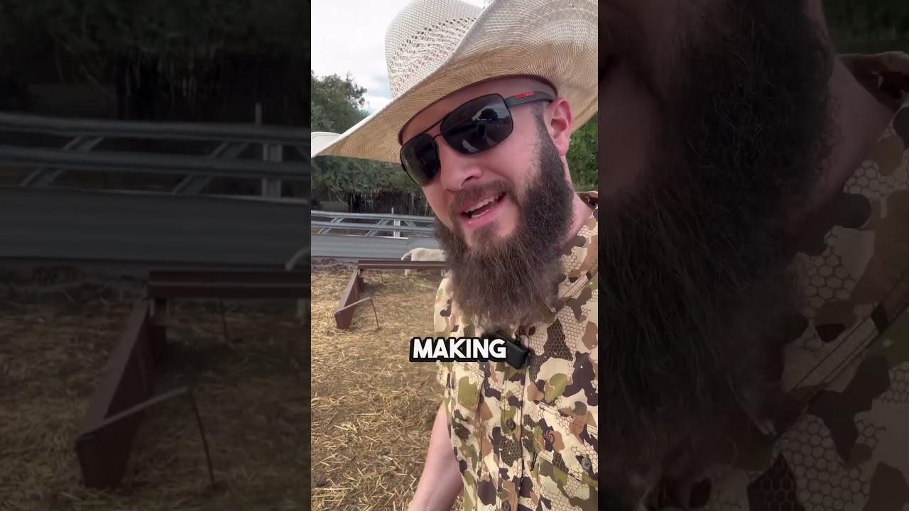 How are Muslims supposed to SLAUGHTER animals? 🔪 Mercy