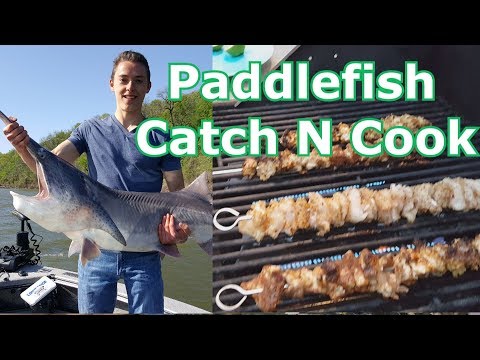 download lagu mp3 mp4 Smoked Spoonbill Recipe, download lagu Smoked Spoonbill Recipe gratis, unduh video klip Smoked Spoonbill Recipe