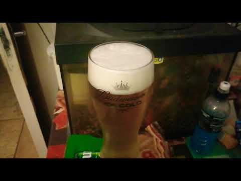 Happy new beer to all my subscribers 🍺🍻