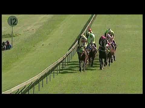 20200226 Hollywoodbets Scottsville Express Clip Race 6 won by TWICE GOLDEN