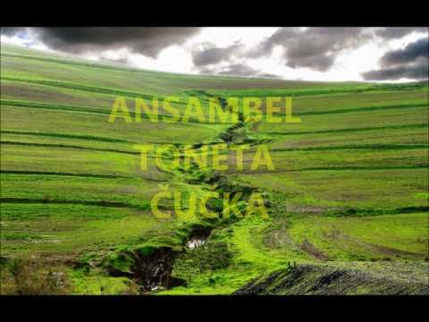 ANSAMBEL TONETA ČUČKA - DOLINA ŠČAVNICE