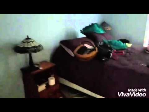 2300 sqft 4 bdr and 2.5 bth with beautiful pool- walk through video