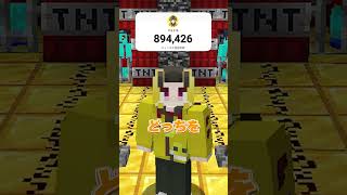 どっちを選ぶのが正解... ！？#マイクラ #マインクラフト