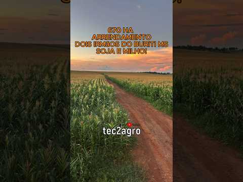 🌱 670 HECTARES PARA ARRENDAMENTO SOJA E MILHO #agro #fazenda #tec2agro