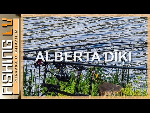 Alberta dīķi, Upesciems, Karpu diķis, зарисовки Карпфишинга, Carp Hunter LV