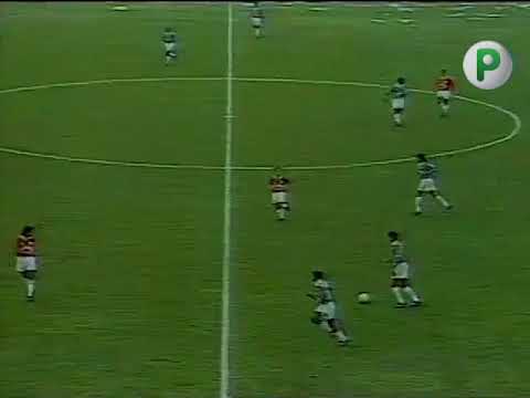 Palmeiras 5x1 Mogi Mirim - Campeonato Paulista 1995