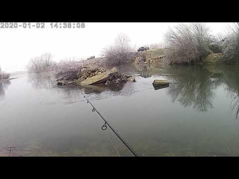 Catching chub in the winter