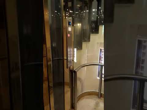 Passenger Capsule Elevator