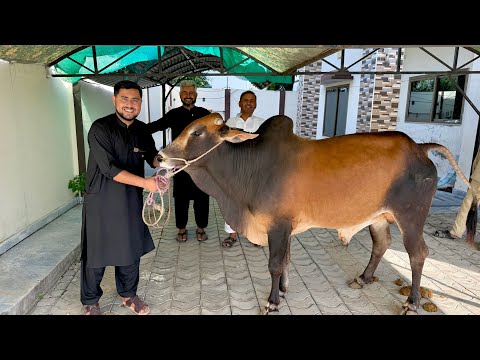Eid Mubarak 🥰 | Eid Ul Adha 2026