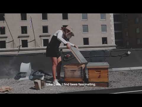 The Honey - Portugal Gourmand - S1E6