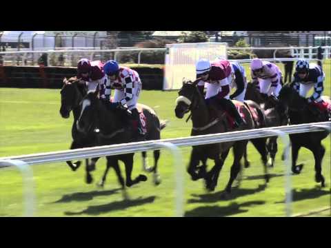 Aintree - 2013 Betfred Bowl Chase - First Lieutenant