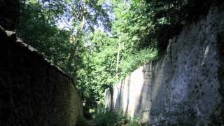 Hubert-Félix Thiéfaine -  La Ruelle Des Morts.