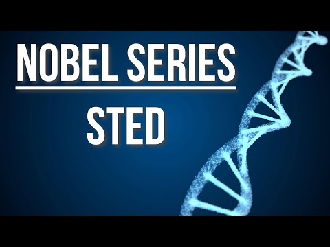 Visualizing the Unseeable: The Science of STED Microscopy