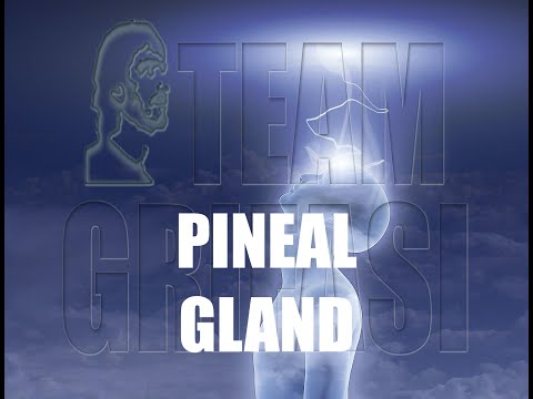 27-EN Oksana, 64th Investigation cycle, 1st Protocol: PINEAL GLAND - Efisia Lupino CG Academy