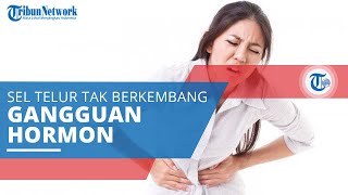 Polikistik Ovarium, Ketika Sel Telur pada Perempuan Tidak Berkembang Normal karena Gangguan Hormon